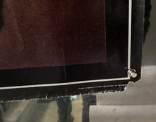 Load image into Gallery viewer, Daniel, 1983
