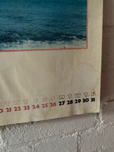 Load image into Gallery viewer, Mintex 1981
