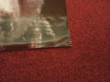 Load image into Gallery viewer, Red Violin, 1998
