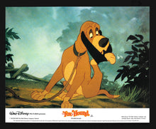 Load image into Gallery viewer, Fox and the Hound, 1981 Press Kit
