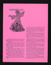 Load image into Gallery viewer, Darling Lili, 1970 Press Kit

