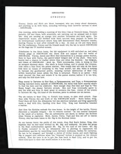 Load image into Gallery viewer, Dinosaurs, 1992 Press Kit
