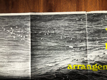 Load image into Gallery viewer, Arrangement, 1969
