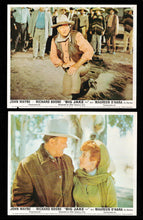 Load image into Gallery viewer, Big Jake, 1971
