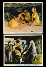 Load image into Gallery viewer, Born Free, 1966
