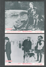 Load image into Gallery viewer, Call of the Wild, 1972
