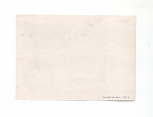 Load image into Gallery viewer, Cats Pajamas, 1926

