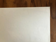 Load image into Gallery viewer, Diary of a Chambermaid
