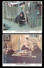 Load image into Gallery viewer, Dirty Little Billy, 1972
