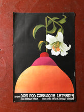 Load image into Gallery viewer, Dom pod czerwona latarnia / House Under Red Lattern, 1977
