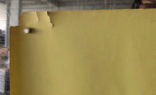 Load image into Gallery viewer, Effect of Gamma Rays on Man in the Moon Marigolds, 1972
