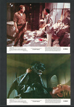 Load image into Gallery viewer, Eyewitness, 1970
