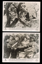 Load image into Gallery viewer, Fighting Kentuckian, 1949
