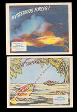 Load image into Gallery viewer, Natures Secrets of Life, 1956
