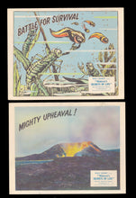 Load image into Gallery viewer, Natures Secrets of Life, 1956
