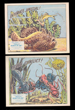 Load image into Gallery viewer, Natures Secrets of Life, 1956
