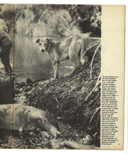 Load image into Gallery viewer, Sunday Times Magazine Nov 10 1963
