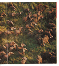 Load image into Gallery viewer, Sunday Times Magazine Apr 9 1978
