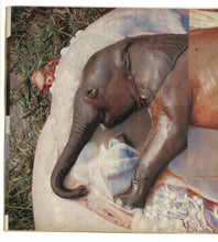 Load image into Gallery viewer, Sunday Times Magazine Apr 9 1978
