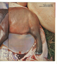 Load image into Gallery viewer, Sunday Times Magazine Apr 9 1978
