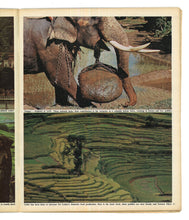 Load image into Gallery viewer, Sunday Times Magazine Feb 3 1974
