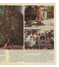 Load image into Gallery viewer, Sunday Times Magazine Mar 2 1975
