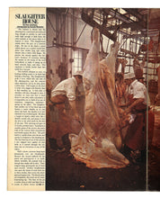 Load image into Gallery viewer, Sunday Times Sept 3 1967
