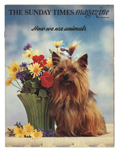 Load image into Gallery viewer, Sunday Times Sept 3 1967
